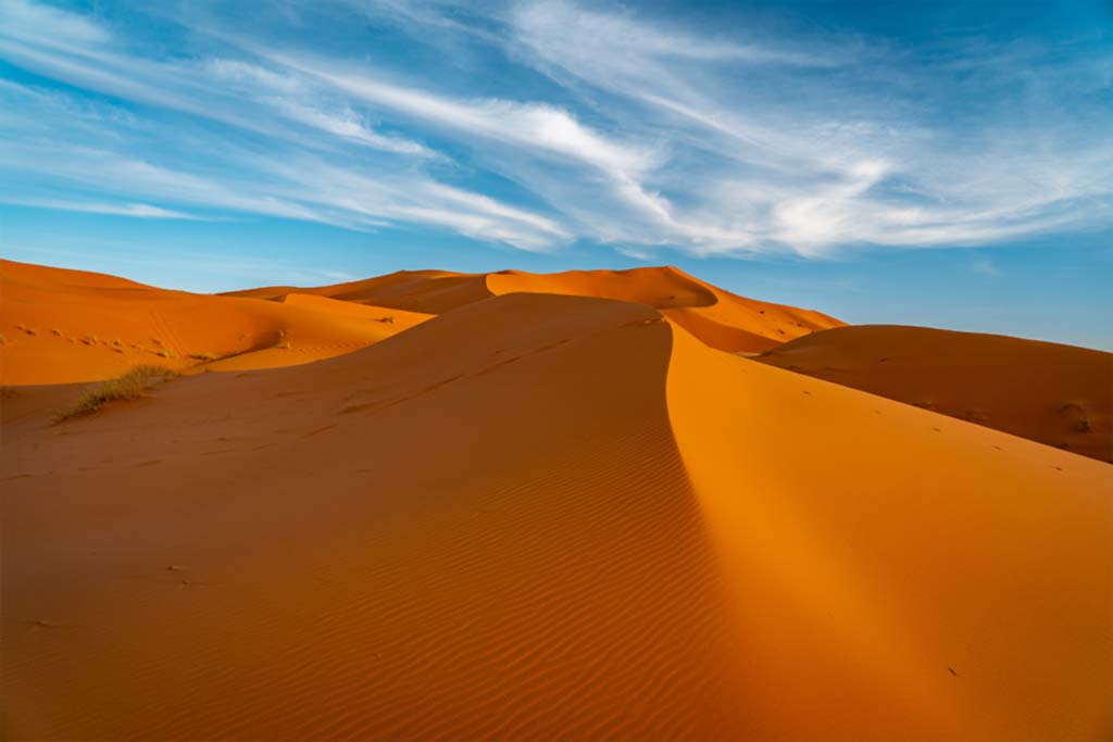 Desert seminar