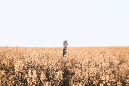 FAITES-VOUS PARTIE DES 2:3 DE MANAGERS NON PRÉPARÉS À LA NOUVELLE ÈRE DU TRAVAIL « PHYGITAL » ?